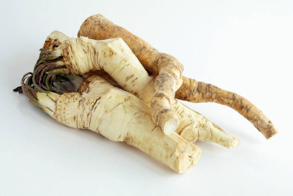 Fresh raw horseradish roots clustered on white background with natural earthy texture close-up Wallpaper