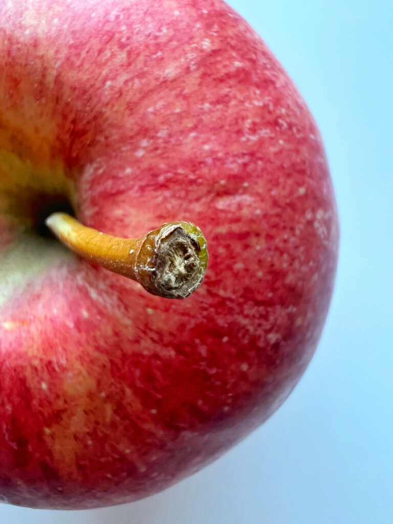 Fresh Red Apple Close-Up for iPhone Wallpaper - Soft Blue Background