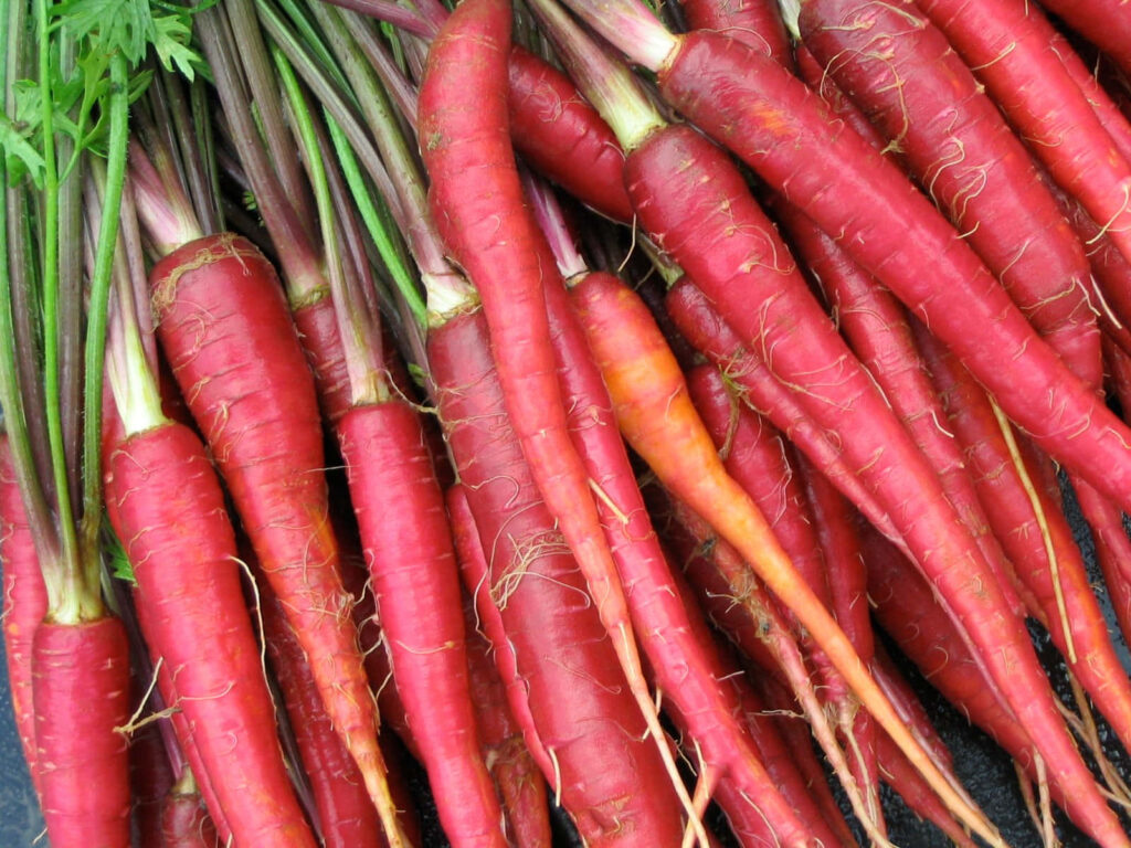 Fresh red carrots on rustic table showing vibrant color and organic farm fresh produce wallpaper