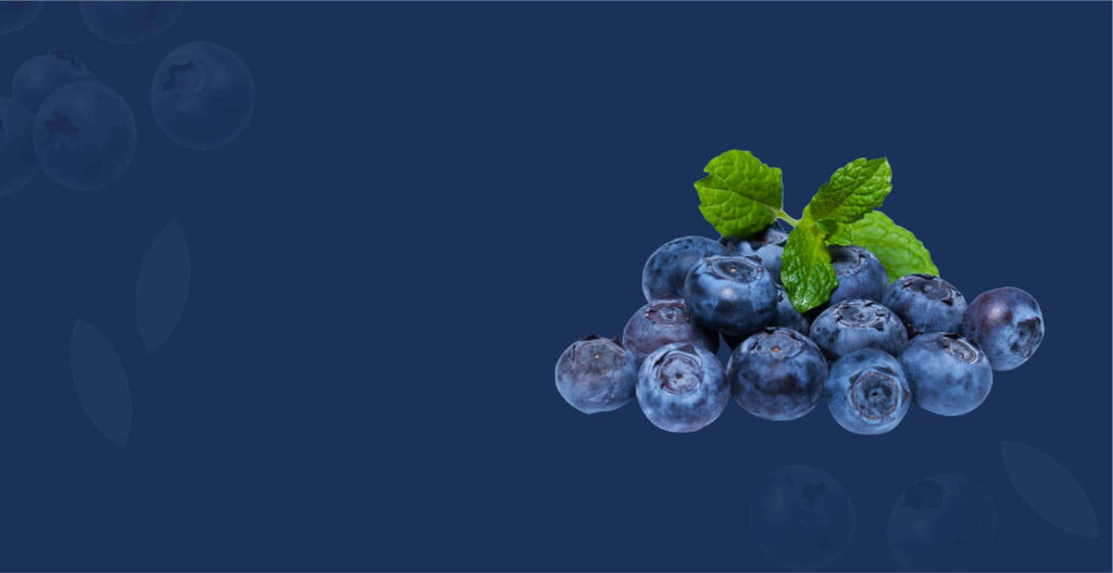Ripe blueberries with fresh mint leaves on smooth blue background fresh fruit wallpaper
