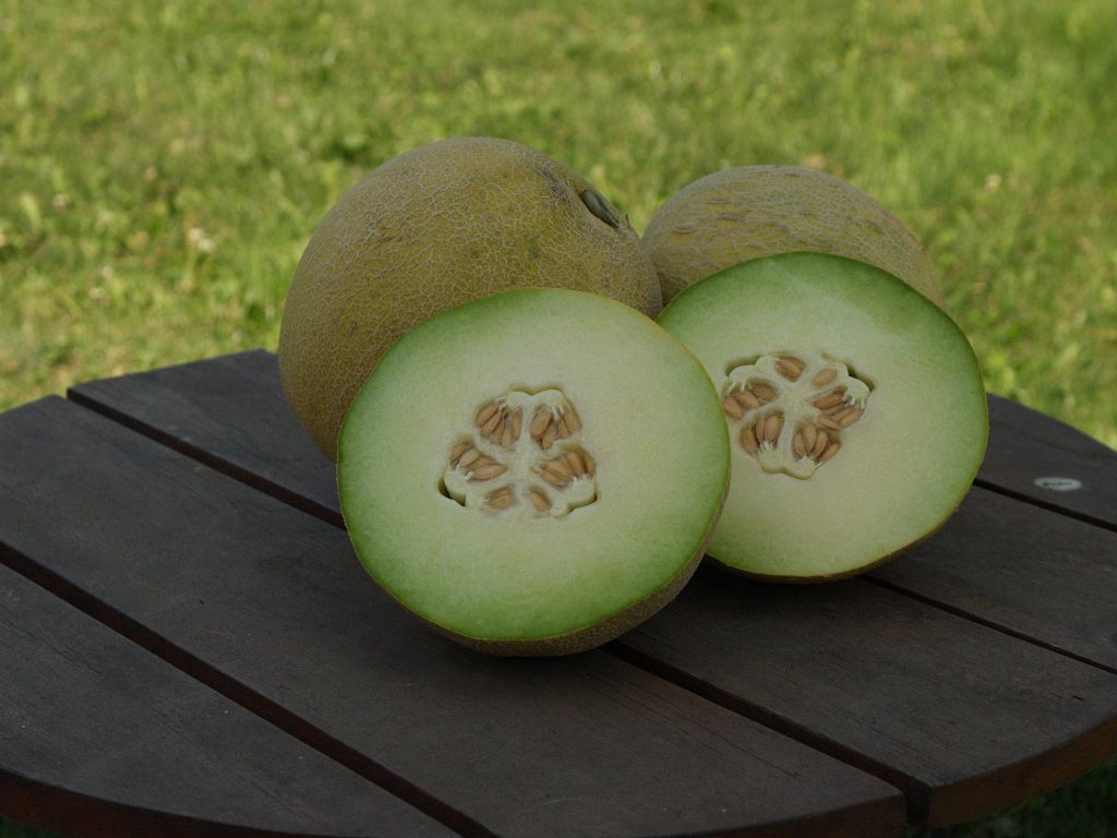 High-resolution wallpaper of ripe netted-rind melons sliced and whole on rustic wooden table