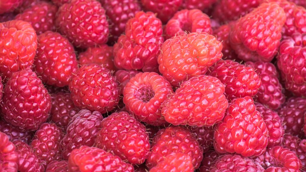 Vibrant Raspberry Wallpaper: Summer's Rich Red & Healthy Appeal