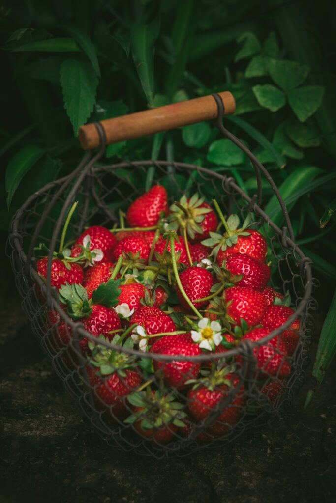 Vibrant Red Strawberries in Basket - Lush Green Leaves Wallpaper