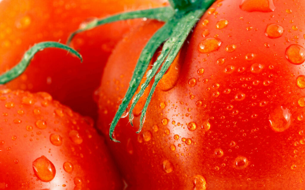 Vibrant Close-Up of Dewy Ripe Red Tomatoes | Fresh Wallpaper Background