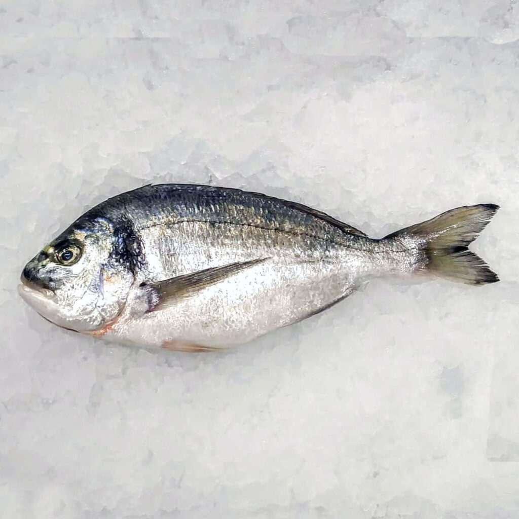 Whole fresh silver bream fish on crushed ice high resolution seafood market kitchen background Wallpaper