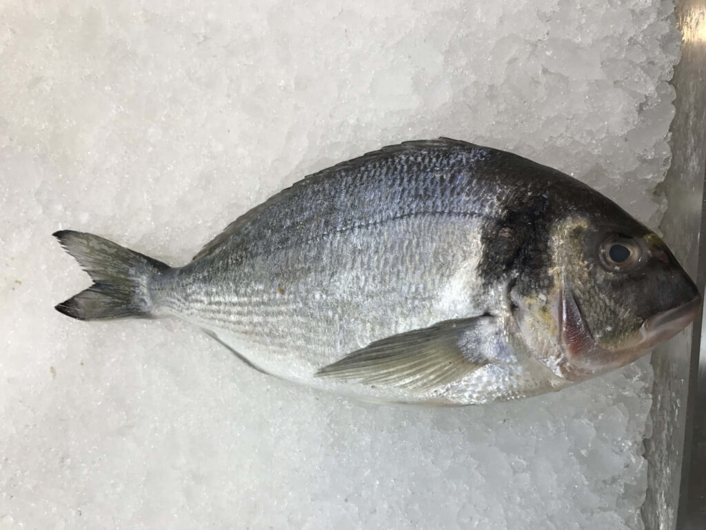 Fresh silver bream fish on crushed ice showcasing seafood freshness and natural texture background Wallpaper