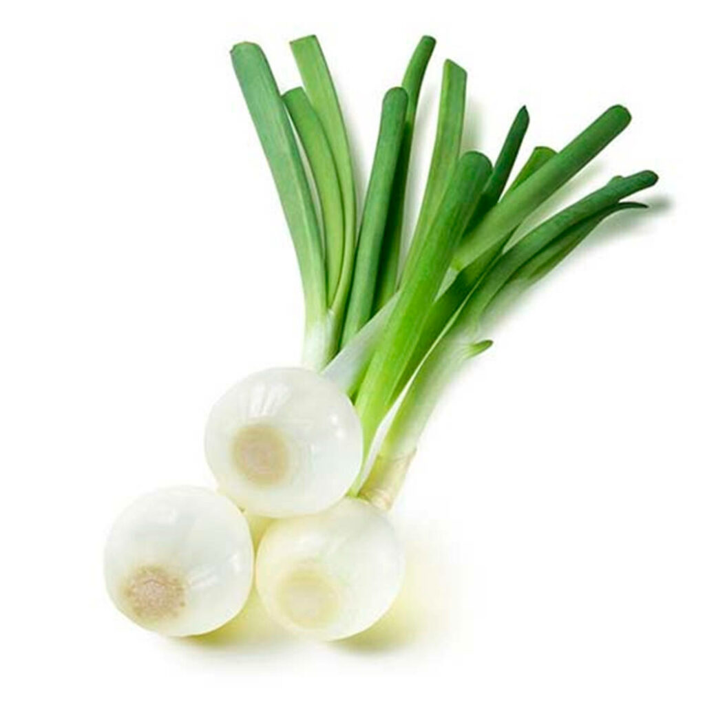 Vibrant Spring Onion Wallpaper - Perfect for Food and Nature Lovers
