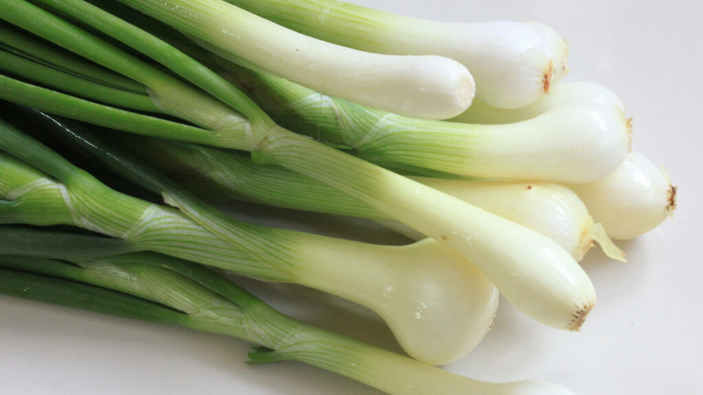 Vibrant Spring Onion Macro Shot – Fresh Green and White Texture Wallpaper
