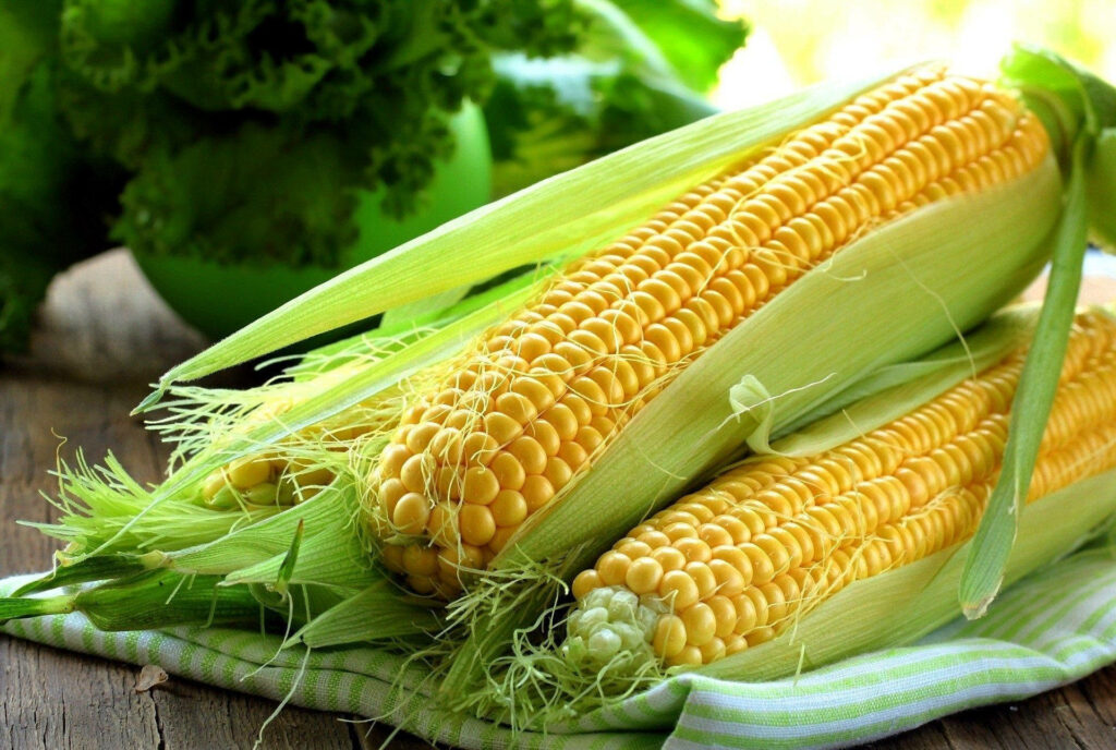 Fresh Sweet Corns on Wood: Vibrant Green Husk Wallpaper Background