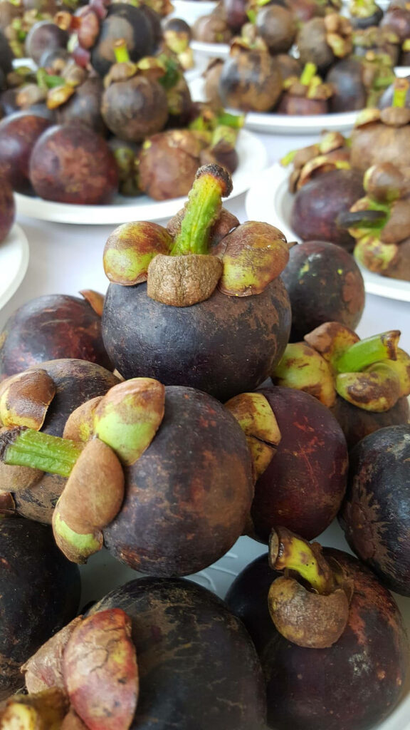 Close-up of fresh tropical mangosteen fruit with purple rind and green stems on plates Wallpaper