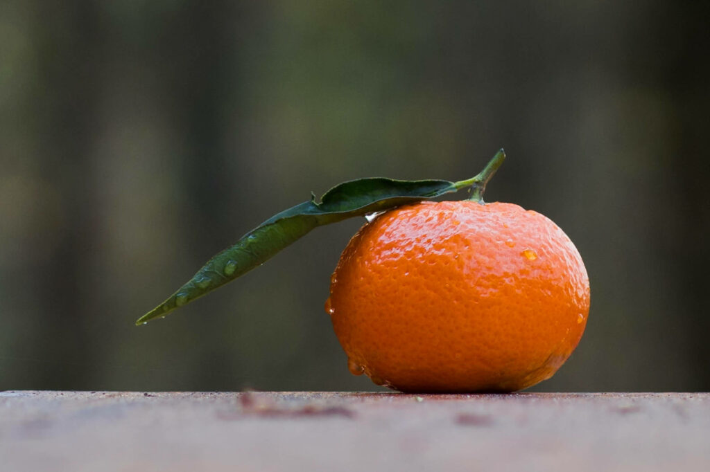 Glossy clementine with water droplets and green leaf on rustic surface natural blurred background Wallpaper