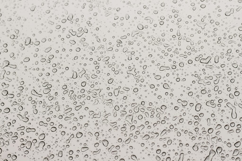 Close-Up Water Droplets Wallpaper Background - Fresh & Soft Light