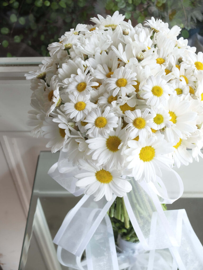 Fresh White Daisy Bouquet with Ribbon on Soft Background Wallpaper