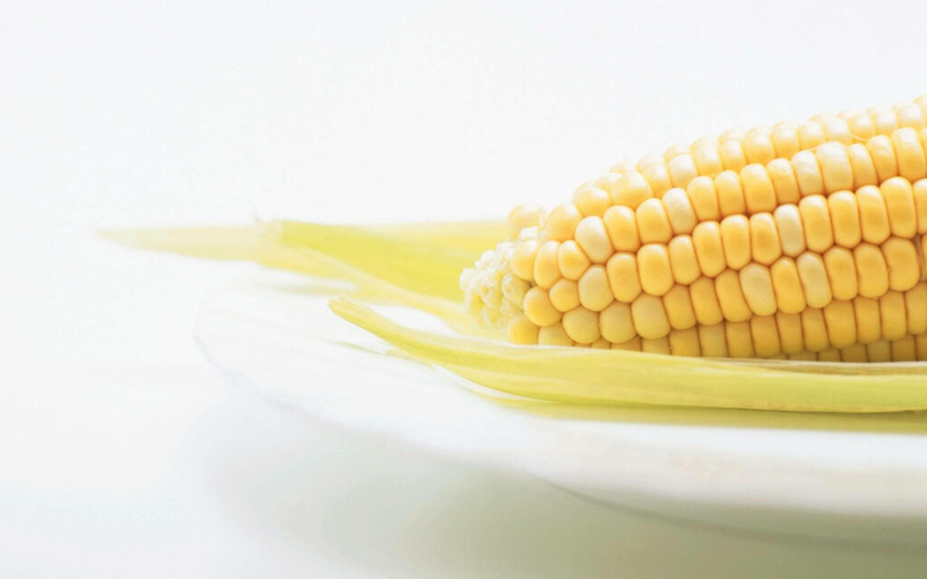 Fresh Yellow Corn Cob Wallpaper on Transparent Plate - Soft Background