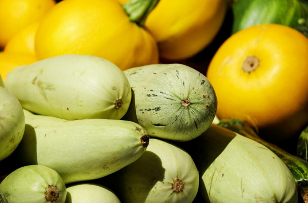 Vibrant Zucchini Wallpaper: Fresh Green & Yellow Variety Background