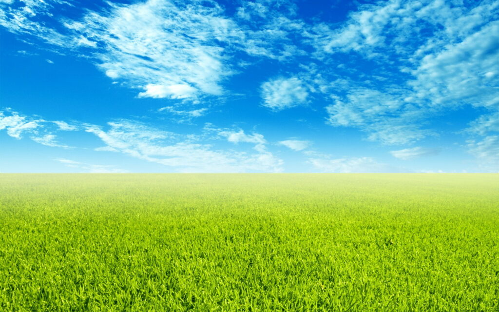 Serenity in Nature: A Captivating HD Wallpaper of the Refreshing Countryside