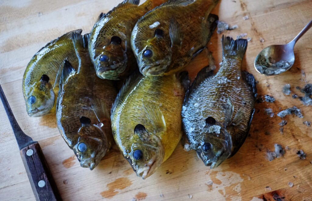 Close-up of six fresh bream fish on wooden board with knife and spoon rustic kitchen scene Wallpaper