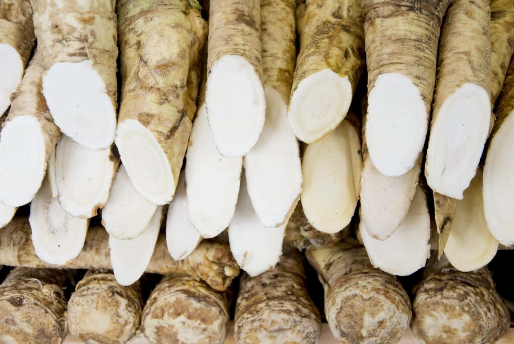 Freshly Cut Horseradish Roots: Creamy White Interiors, Natural Wallpaper