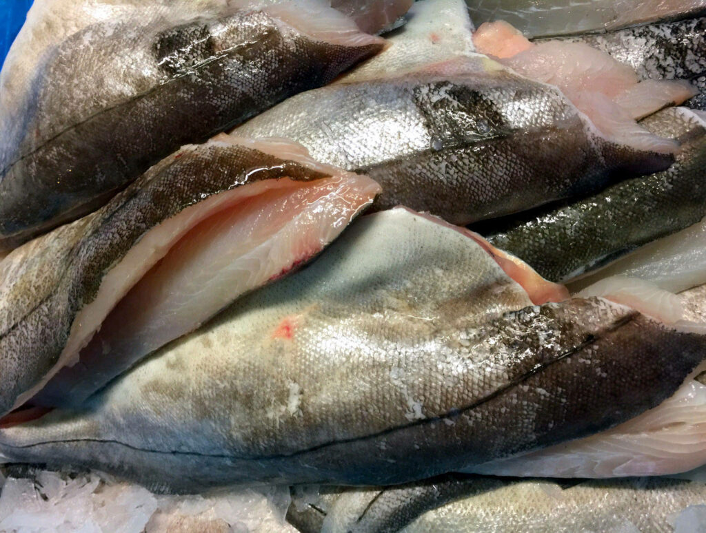 Freshly Filleted Haddock Wallpaper: Perfect for Culinary Themes