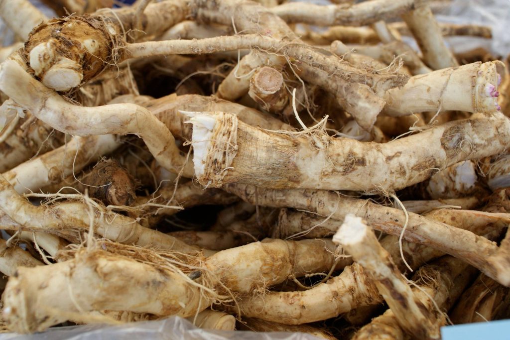 Close-up of fresh knobby horseradish roots with earthy textures in rustic farm-to-table style Wallpaper