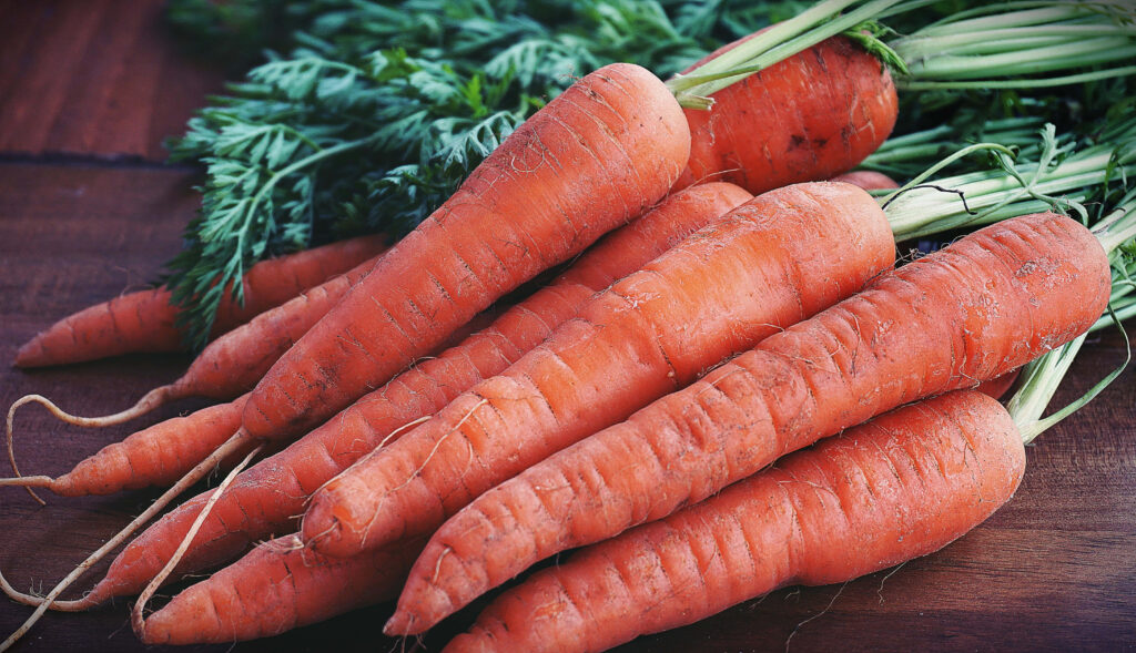Freshly picked vibrant orange carrots with green tops on rustic wood farm to table background Wallpaper