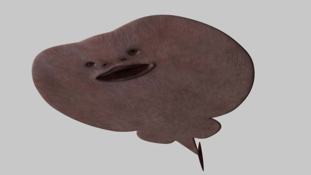 Stylized electric ray wallpaper with textured brown body and friendly smiling expression on gray background