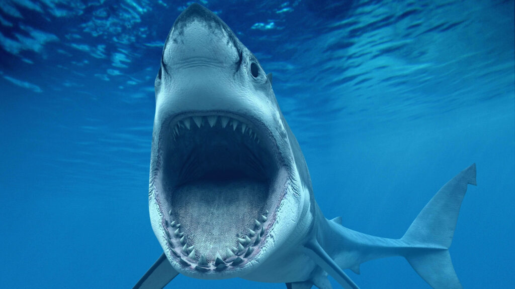Realistic Shark Wallpaper: Intimidating Underwater Scene in Blue