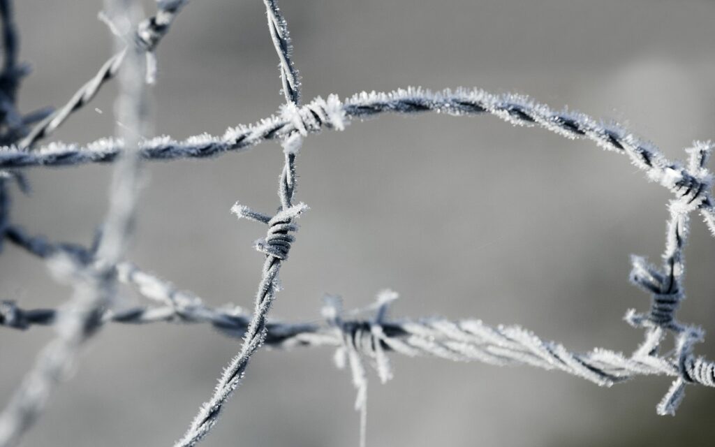 Frosted Barbed Wire Close-Up: Icy Texture Wallpaper Background
