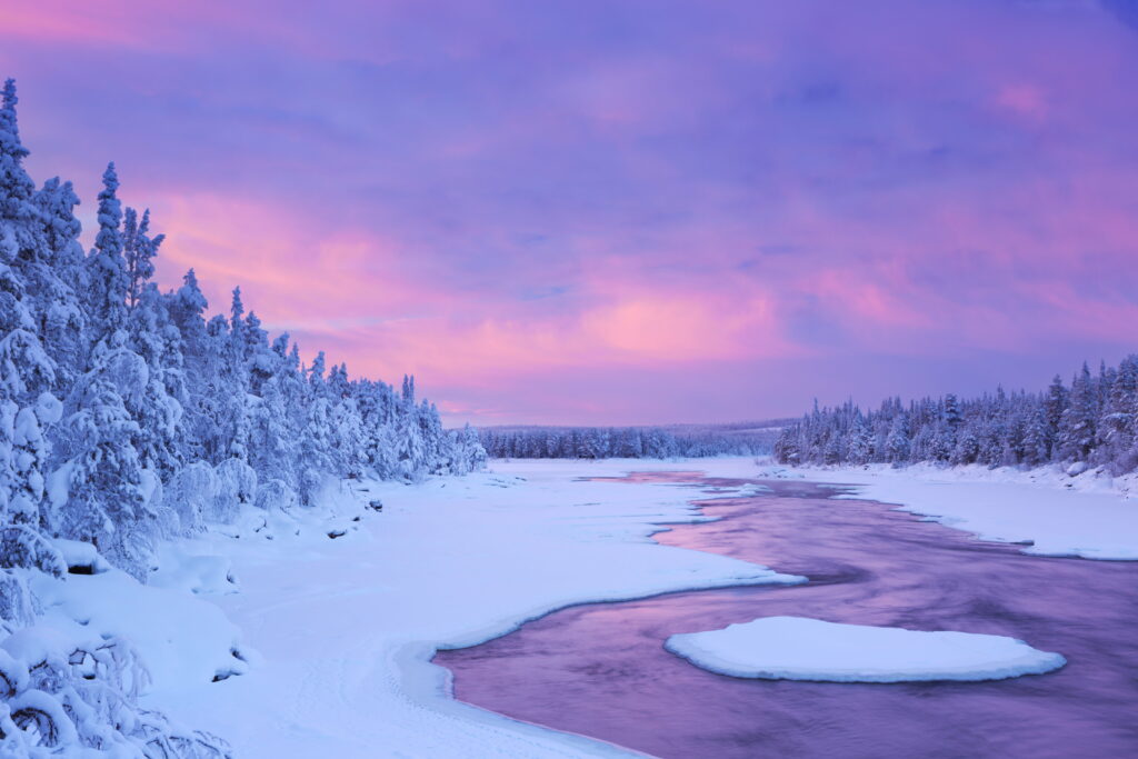 Frosty Delight: Mesmerizing Winter Wonderland in Pink - Stunning 5K Wallpaper Background