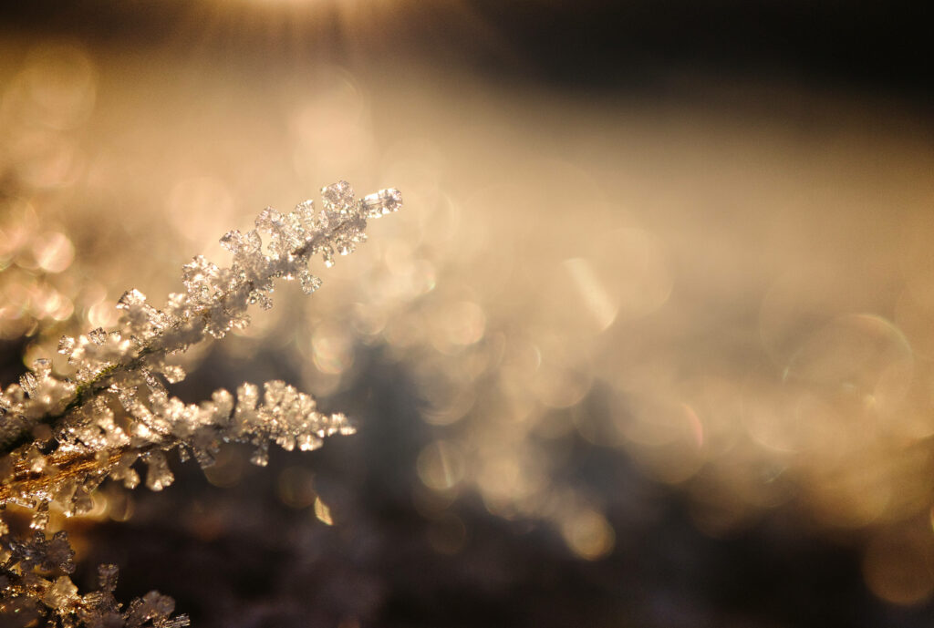 Winter Wonderland: Mesmerizing Macro Rendition of Frosted Snow Crystals with Delicate Bokeh Background Wallpaper