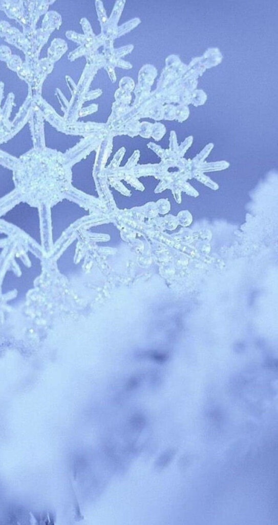 Icy Elegance: Stunning Snowflake iPhone Background Wallpaper
