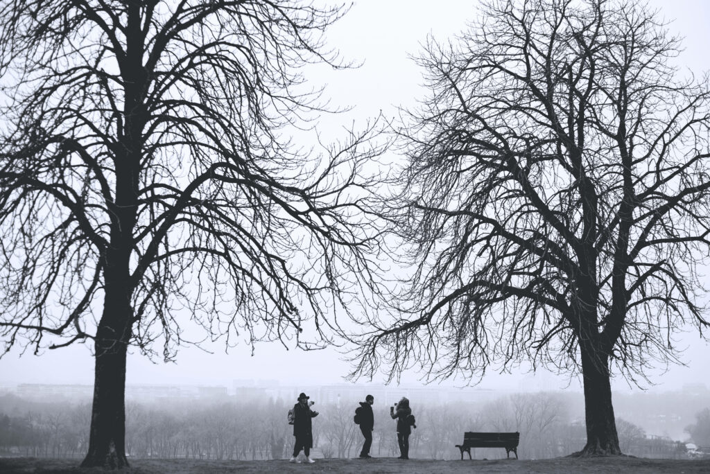 Misty Winter Day Amidst Majestic Belgrade Trees: A Serene Snapshot of People Immersed in Serbia's Natural Beauty Wallpaper