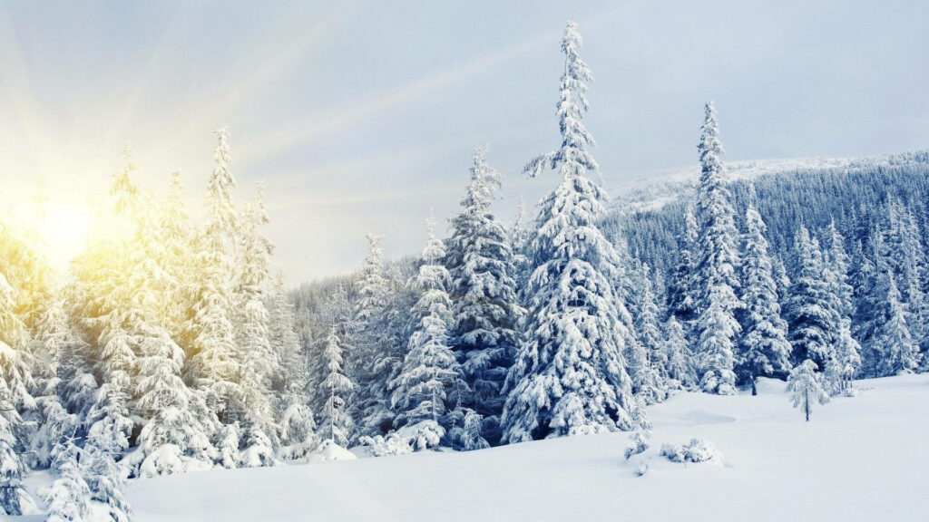 Winter Wonderland: Majestic Sunrise Illuminating Snow-Covered Peaks Through Frozen Forest Wallpaper
