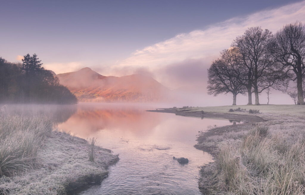 Frozen Serenity: HD Wallpaper Capturing the Majestic Beauty of a Cold River in Nature