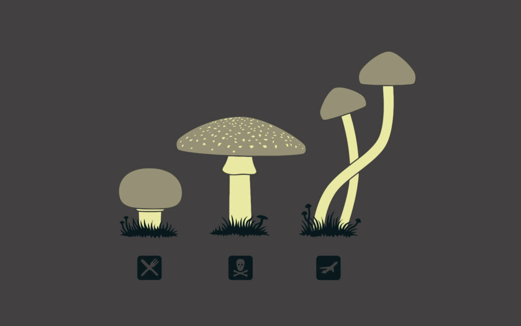 Symbolic Fungi Fiesta: A Hilarious Desktop Delight! Wallpaper