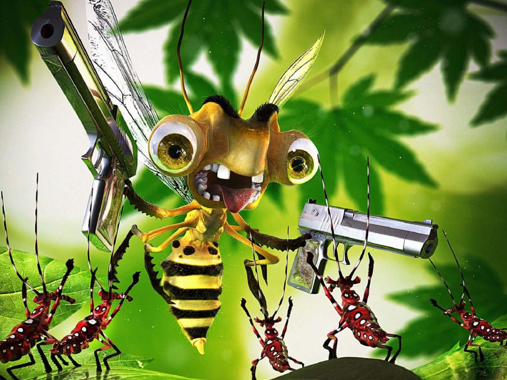Funny 3D wallpaper of a bug-eyed bee with pistols and red-spotted insects on green background