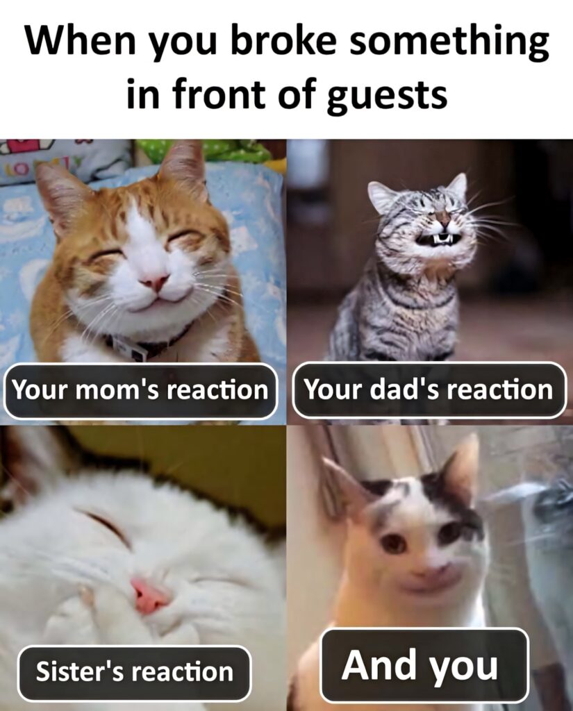 Funny cat meme wallpaper with four expressive cats showing family reactions to breaking things