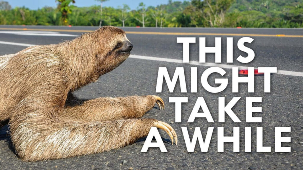 Humorous Sloth Meme: 'This Might Take a While' on the Highway Wallpaper