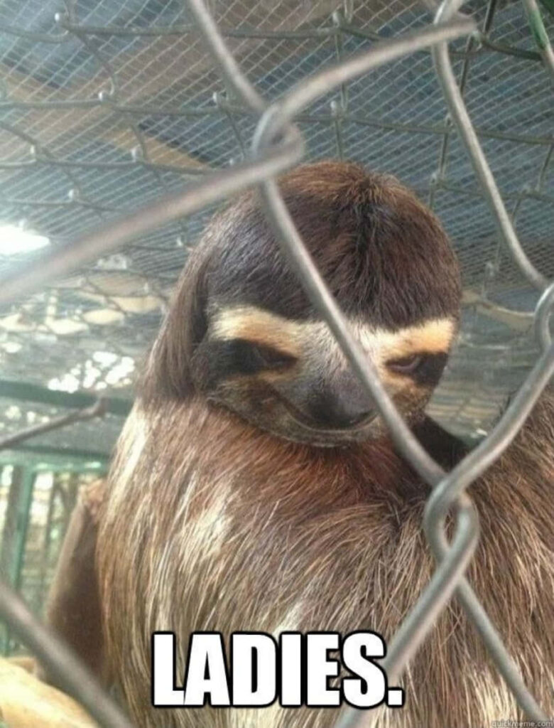 Playful Sloth Meme Wallpaper: Sly Expression Peeking Through Fence