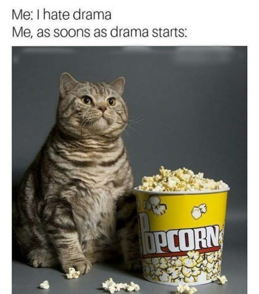 Chubby tabby cat beside popcorn bucket with funny waiting for drama text on gray background Wallpaper