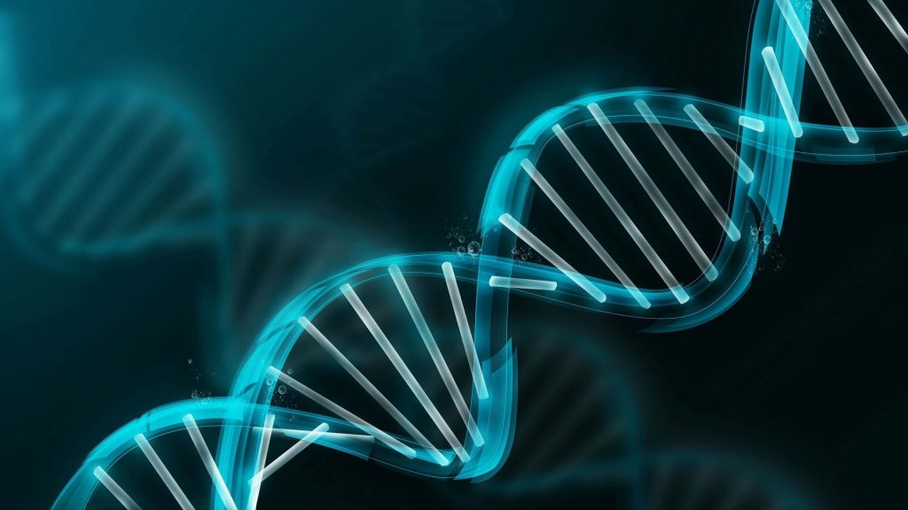Glowing translucent blue DNA double helix on dark background futuristic biology wallpaper