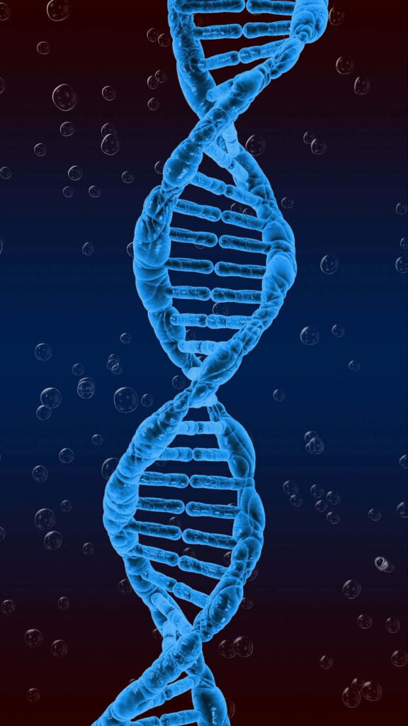 Blue DNA double helix with translucent bubbles on red and blue gradient scientific wallpaper background
