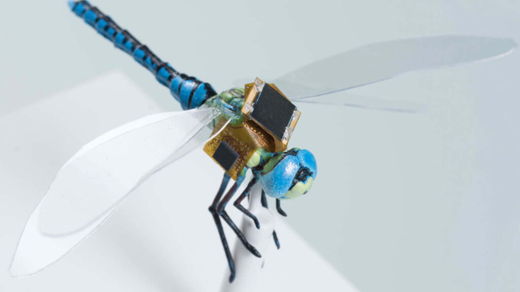 Futuristic Dragonfly Wallpaper: Vibrant Colors & Detailed Design