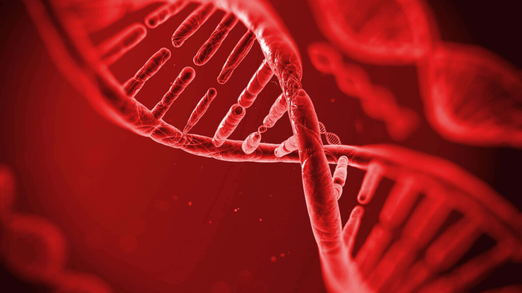 Red DNA double helix wallpaper with intricate molecular patterns on deep red futuristic background