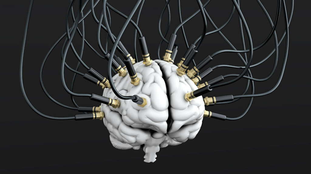Tech Meets Mind: Black Jack Connectors & Brain Model Wallpaper
