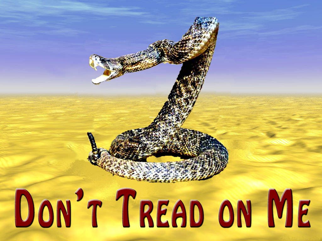 Realistic rattlesnake on Gadsden Flag in desert with Dont Tread On Me text wallpaper