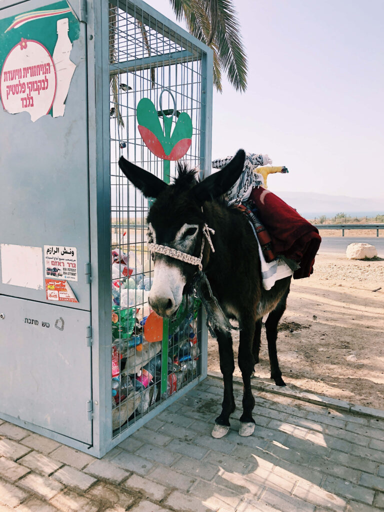 Gentle donkey beside metal recycling cage with colorful plastic bottles on sunny sidewalk Wallpaper