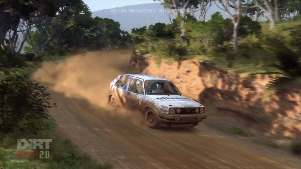 Dirt Rally 2.0 Rally Racing Game: High-Energy Car Kick Up Dust in Forest Track Wallpaper
