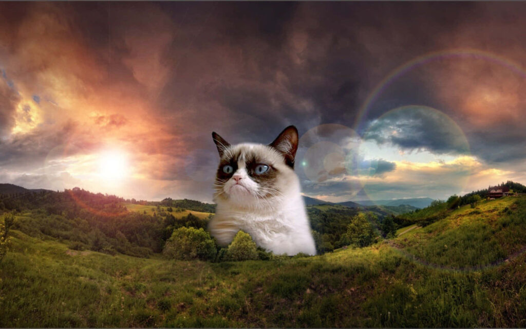 Giant grumpy cat dominates scenic sunset landscape with lush hills creating playful meme wallpaper
