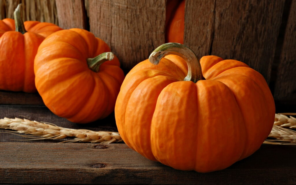 Glorious Gourds: Enchanting QHD Wallpaper of Magnificent Big Pumpkins